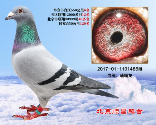 ͬ�ѽ���