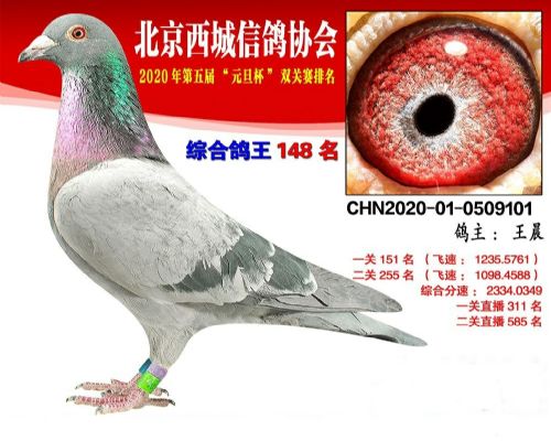 ˫���ۺ�148��