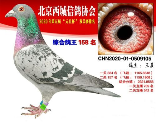 ˫���ۺ�158��