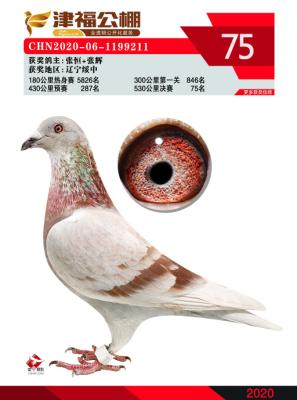 �˵�����˹������˹������