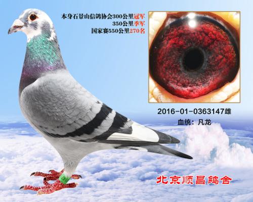 18��ھ�,����.������270