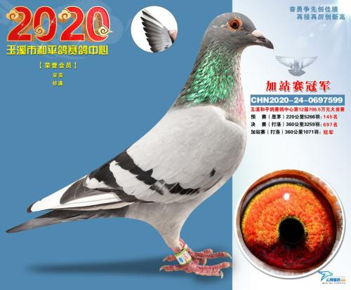 2020���ƽ�����ھ�