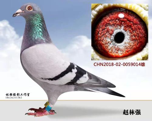 ǧ���� ��