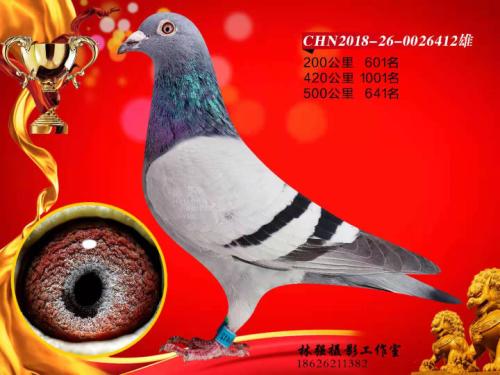 ¤�� �ر� ��