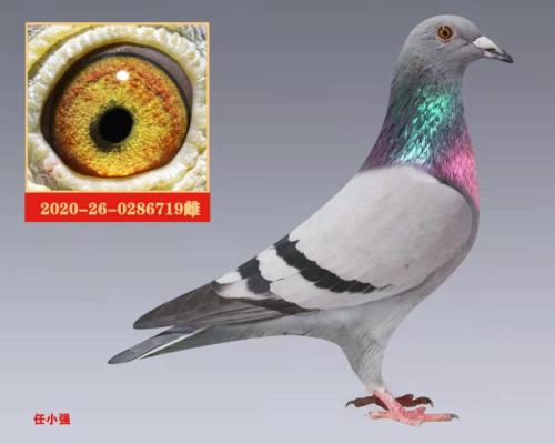 ������  �Ҵ�