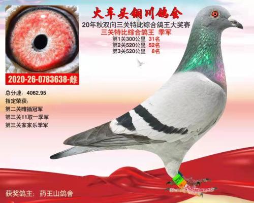 2020��������