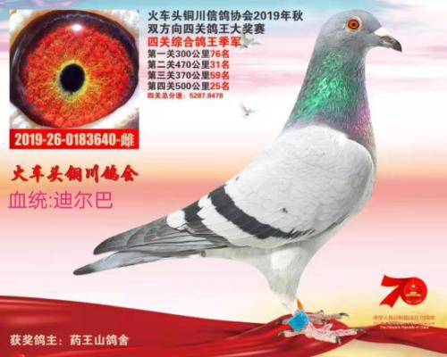 2019��������