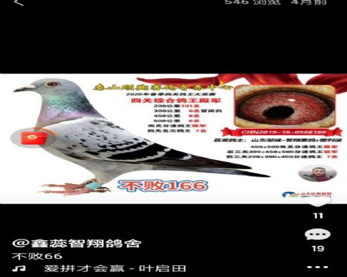 �Ĺ����������عھ�