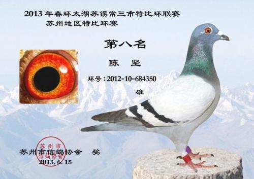 ��̫��8��