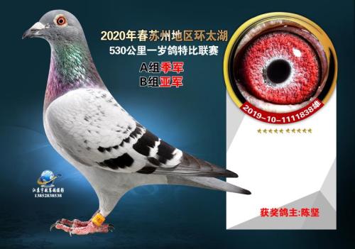 ��̫������