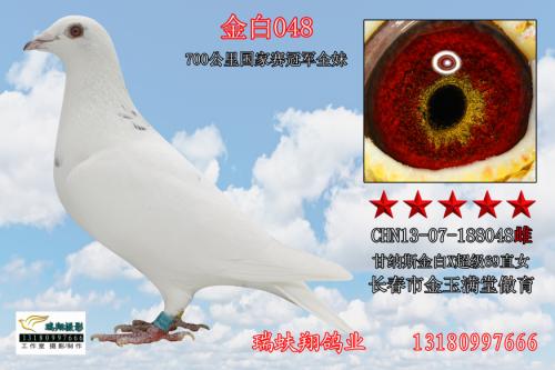 ����˹���