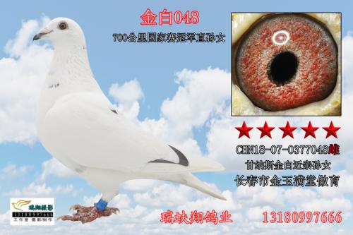 ����˹���