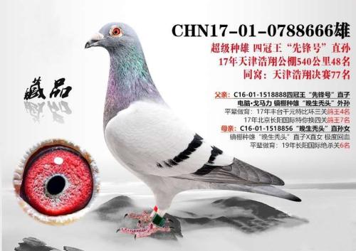 ����ͺͷ666��48����