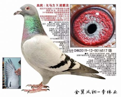 �����ٰ���188ֱ��