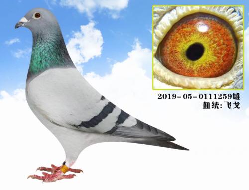 ����646�����׷ɸ�