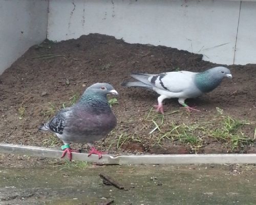 ��������㣩