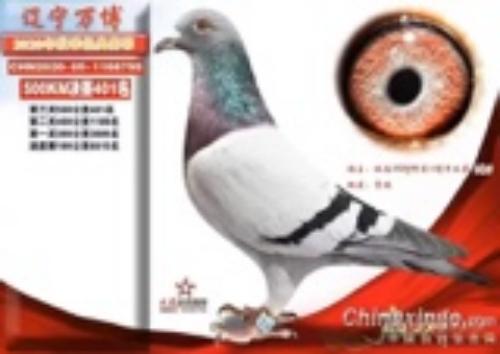 ���� �ҵ���