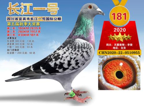 �����������181��