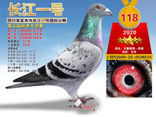 ������������10��