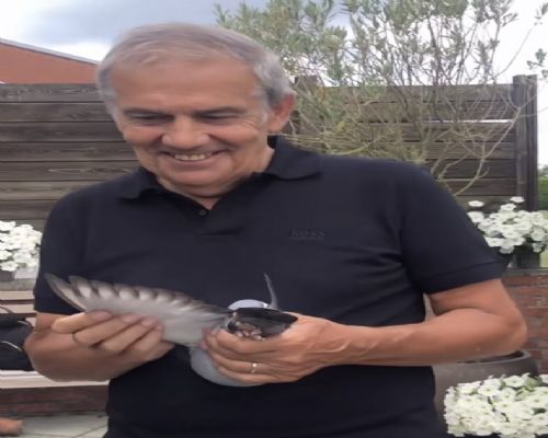 �Ǳȡ������ɱ� ����