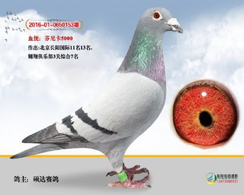 ˶������