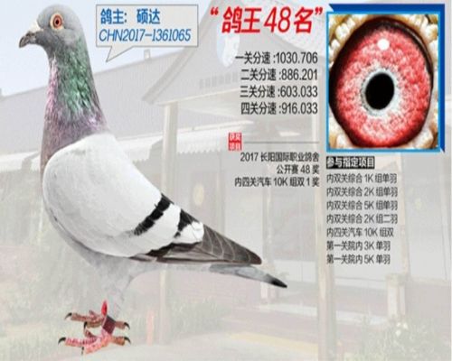 2017�걱�����������ۺ�48��