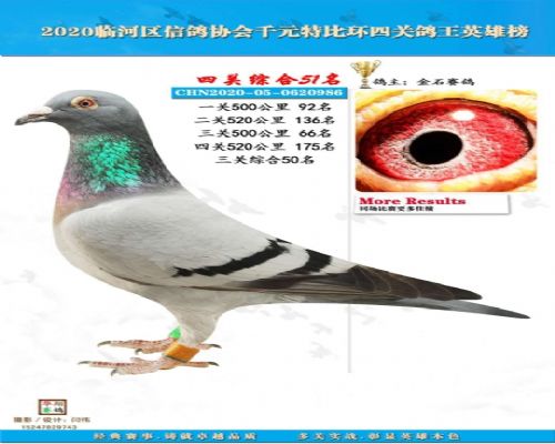 ˶������ɼ���