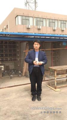 2021������ͷ260����ʮ��