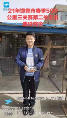 2021�����л������ٹ�������