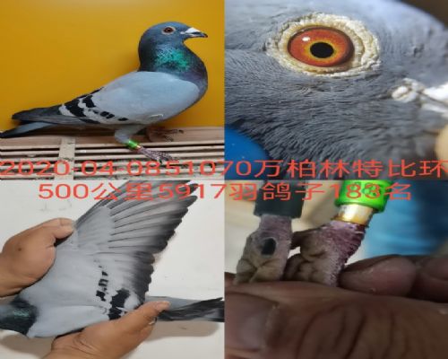 δ����