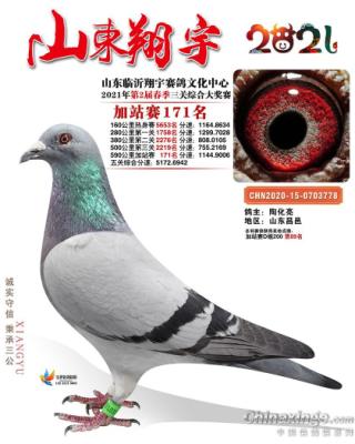 ����񽱸�����6��ͬ��ĸ