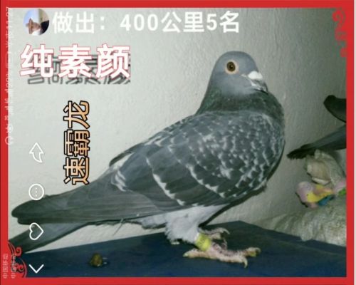 �����ָ�