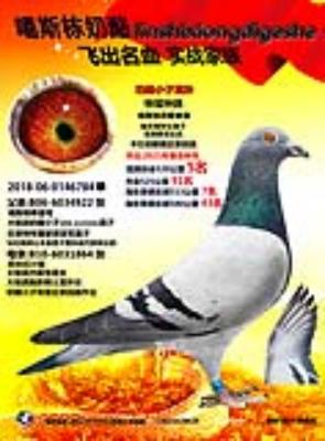 ��˹�� ����