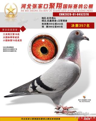 ���蹫�����ظ���18��