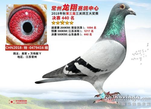 2018���蹫��