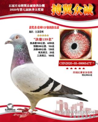 2020�����ڳǹ���