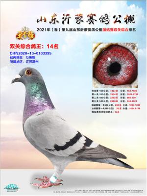 2021���ɴ���