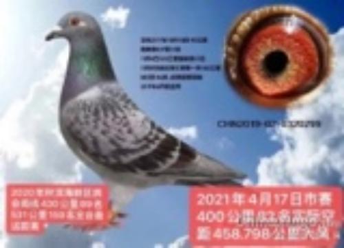 ����82��