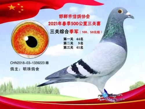 2021��������500����������