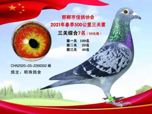 2021��������500����������