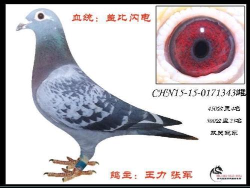 �Ǳ���������������