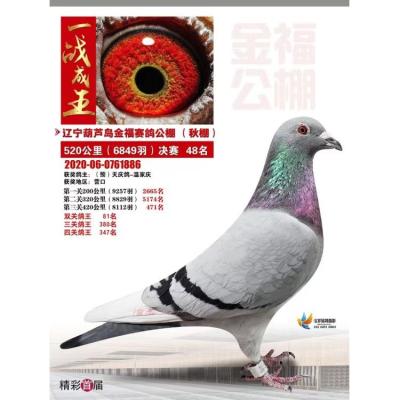 �𸣹���48��