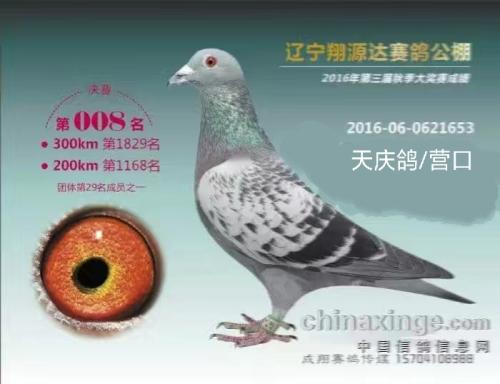 ��Դ��8��