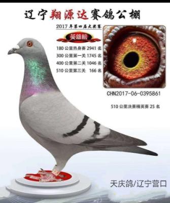 ��Դ��166��