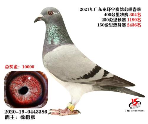 ������304��