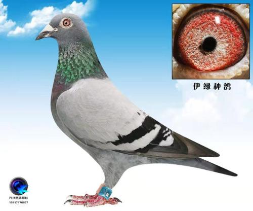 ������405