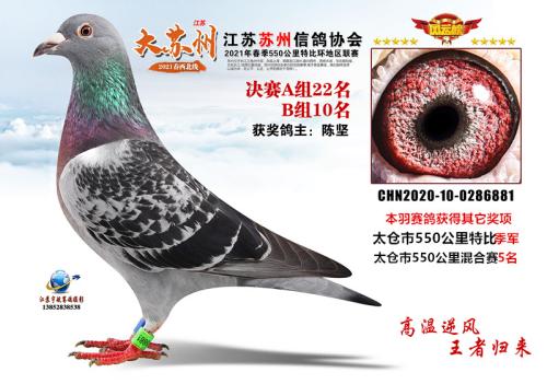 2021�괺��̫������22��