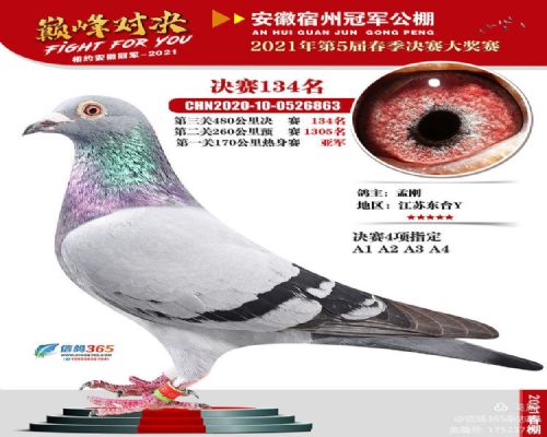 2021�ھ������������Ǿ�����134