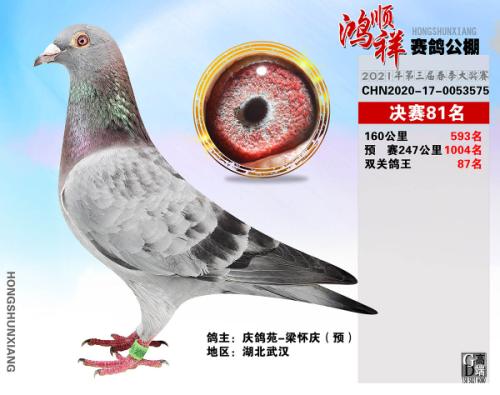 ��˳�鹫��81��