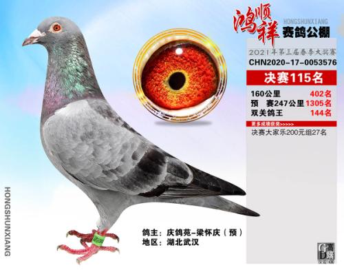��˳�鹫��115��
